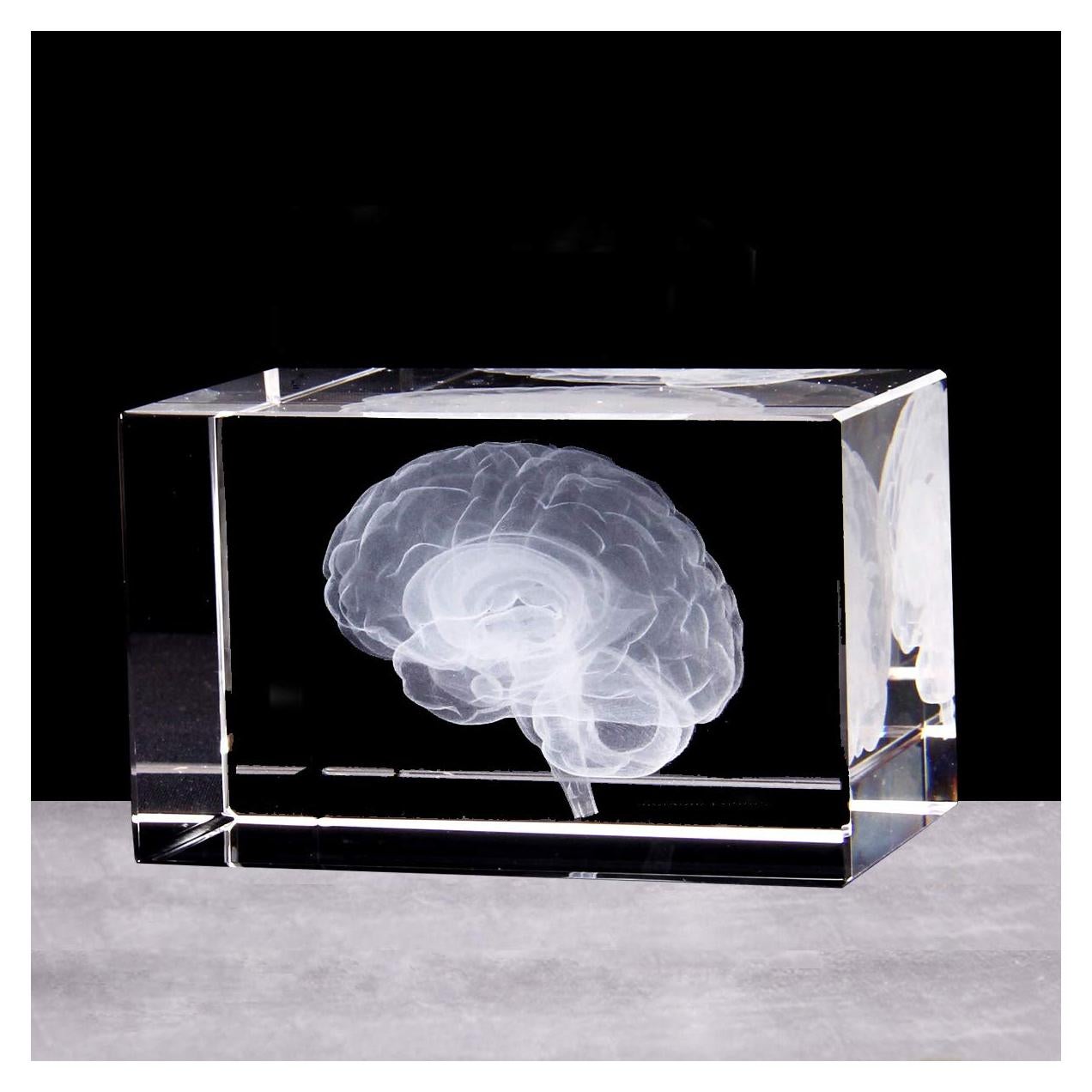 Sujetapapeles 3D Cerebro Humano XINDAM en Cristal 7.87x5.08 cm