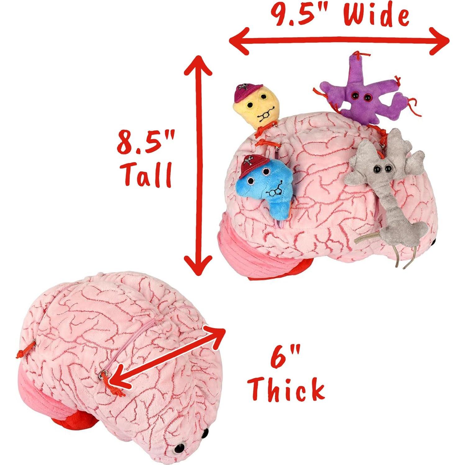 Peluche Cerebro Deluxe GIANTmicrobes 24cm con Neurona