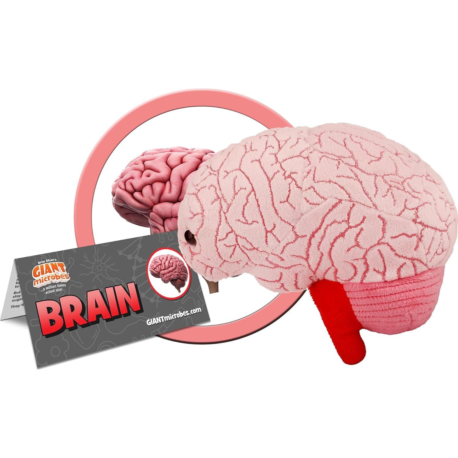 Peluche Cerebro GIANTmicrobes 15 cm - Regalo Educativo Salud Mental