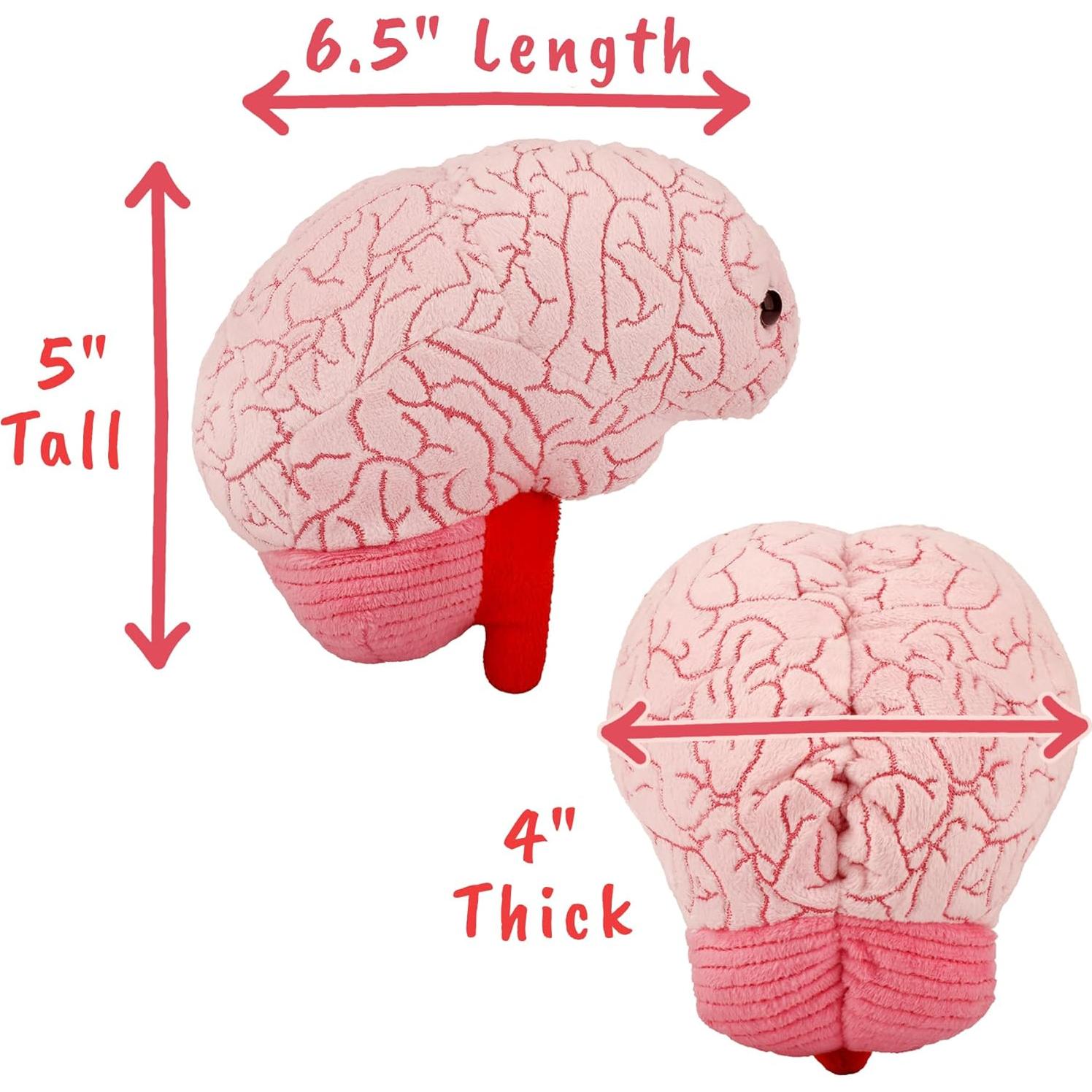 Peluche Cerebro GIANTmicrobes 15 cm - Regalo Educativo Salud Mental