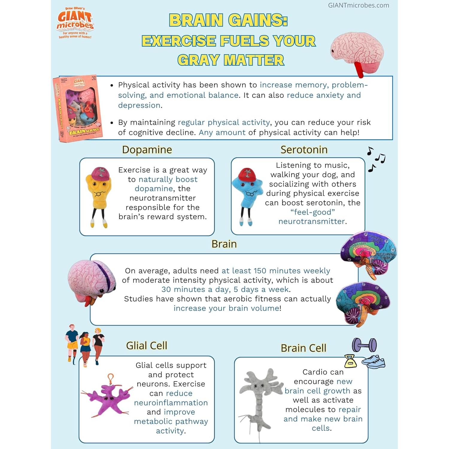 Peluche Cerebro GIANTmicrobes 15 cm - Regalo Educativo Salud Mental