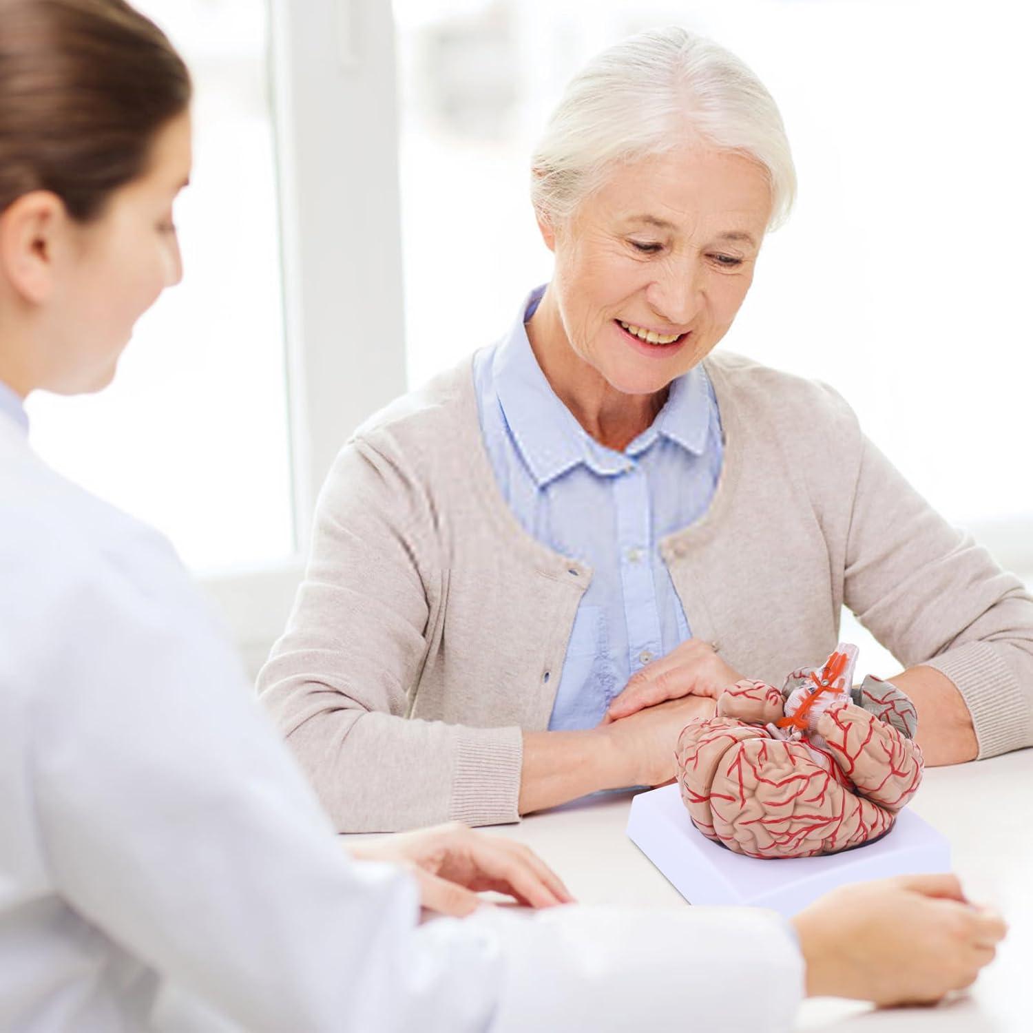 Modelo Anatómico del Cerebro Humano SFXYJ 8 Partes 15.24x17.02cm