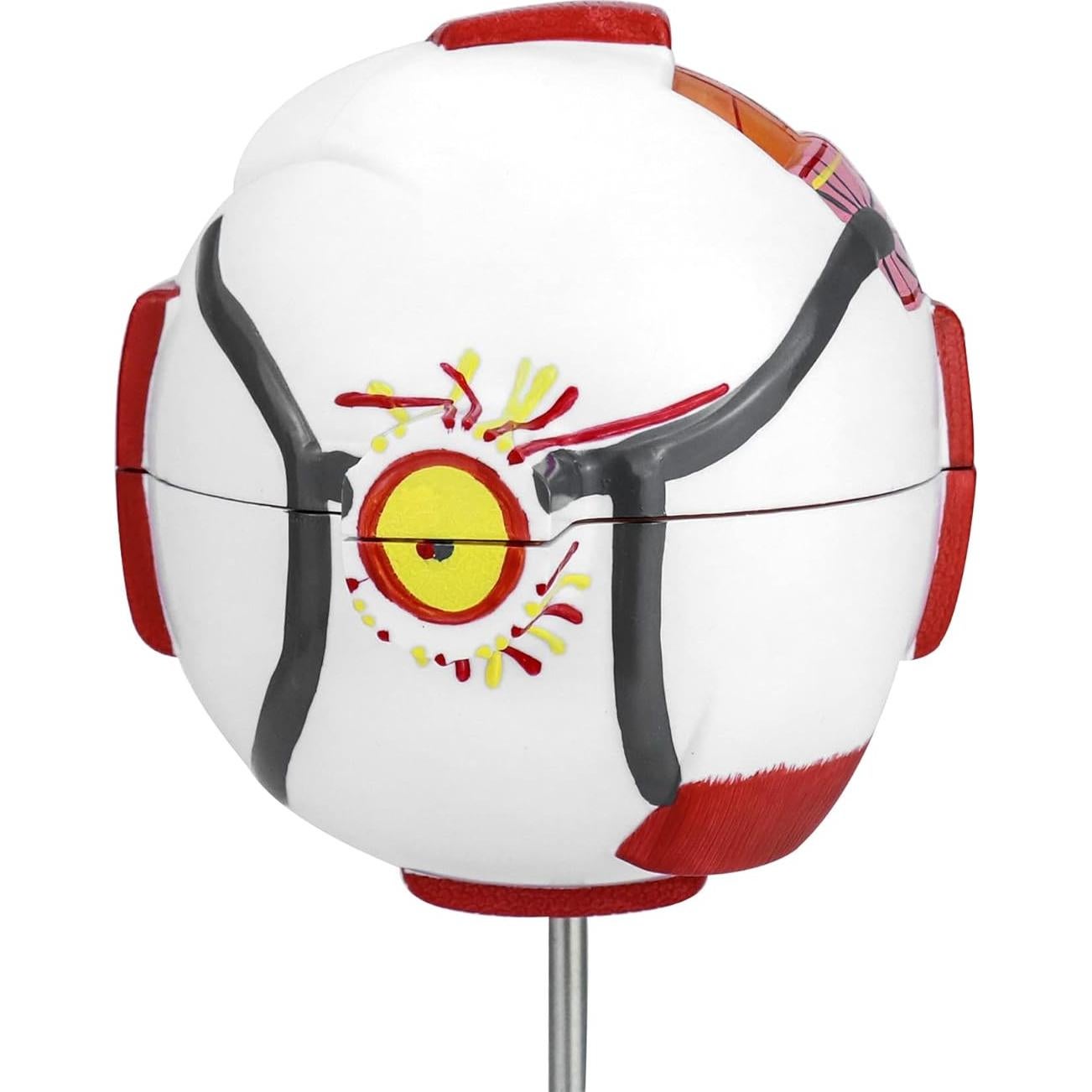 Modelo de Anatomía del Ojo Humano 6X QWORK con Soporte