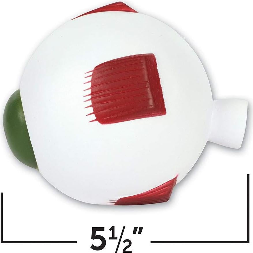 Modelo de Ojo Humano en Sección Transversal Learning Resources 12.7 cm