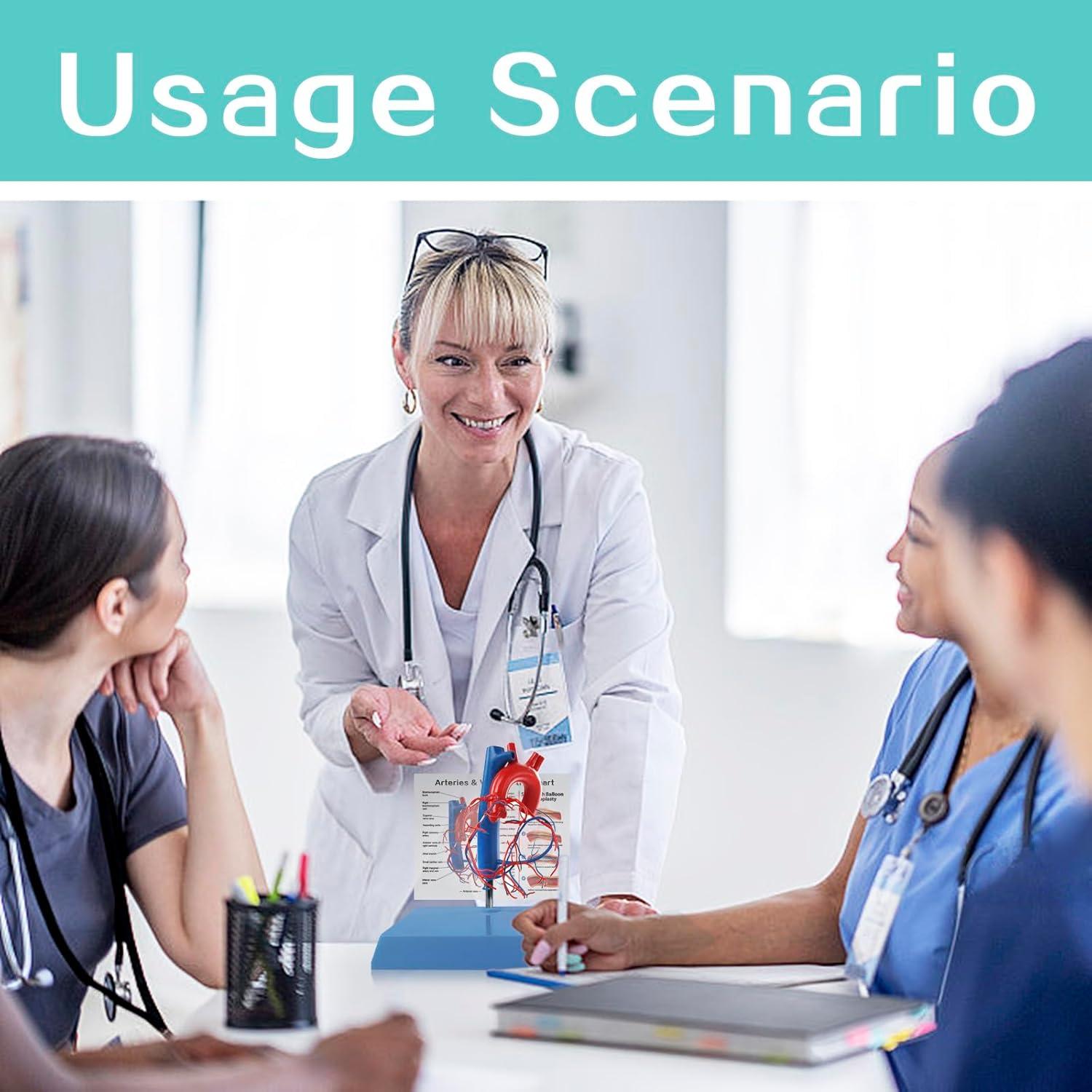 Modelo de Corazón Humano New Horizon 19.8x14.7 cm con Venas