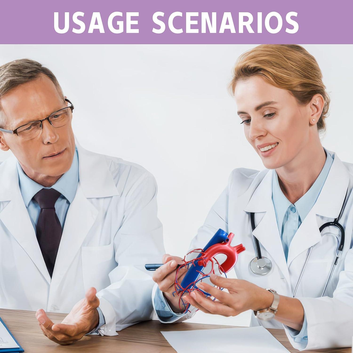 Modelo de Corazón Humano a Tamaño Real HADWYN