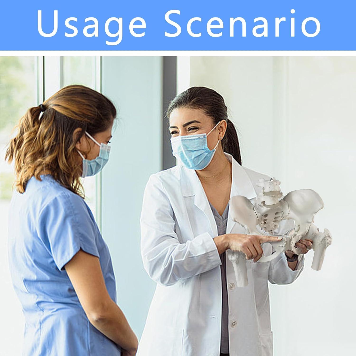 Modelo de Pelvis Femenina Móvil Merinden a Tamaño Real