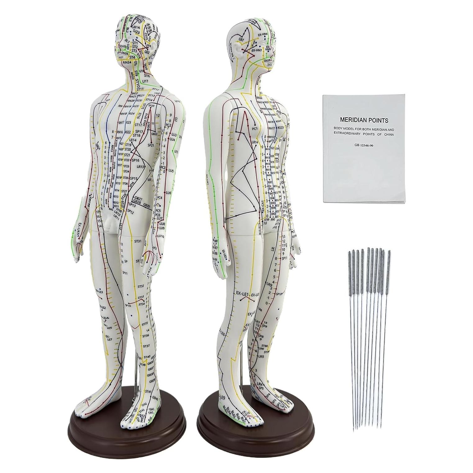 Muñeco de Acupuntura 1/3 XDKHAEA con Puntos Educativos