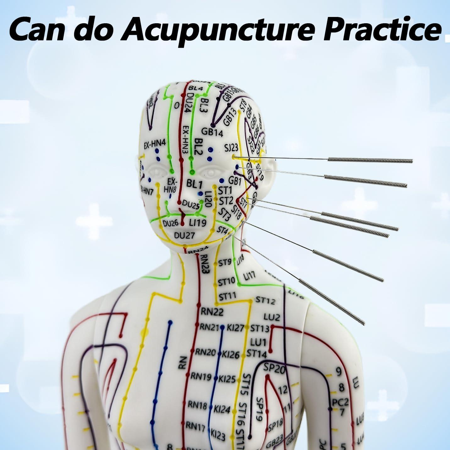 Muñeco de Acupuntura 1/3 XDKHAEA con Puntos Educativos