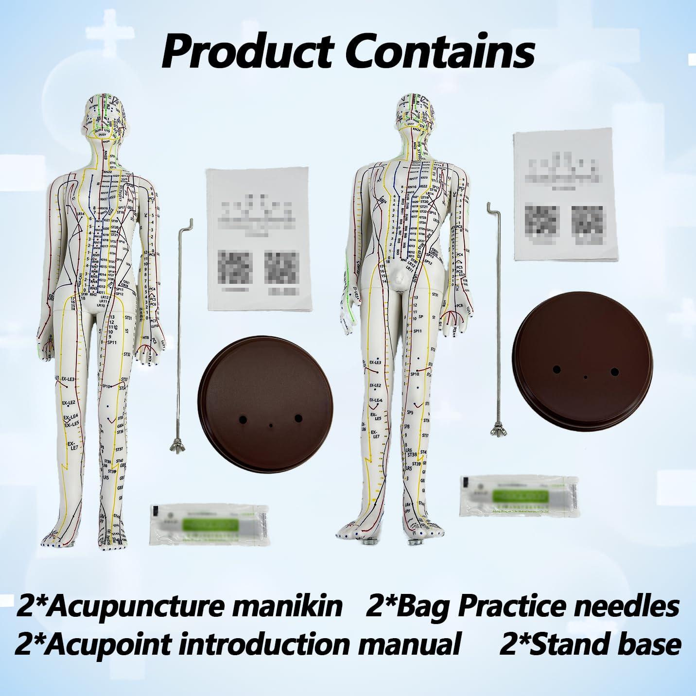 Muñeco de Acupuntura 1/3 XDKHAEA con Puntos Educativos