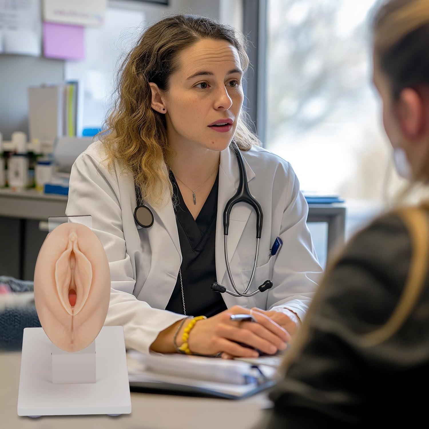 Modelo Anatómico de Salud Pélvica MedEduQuest - Entrenamiento Ginecológico