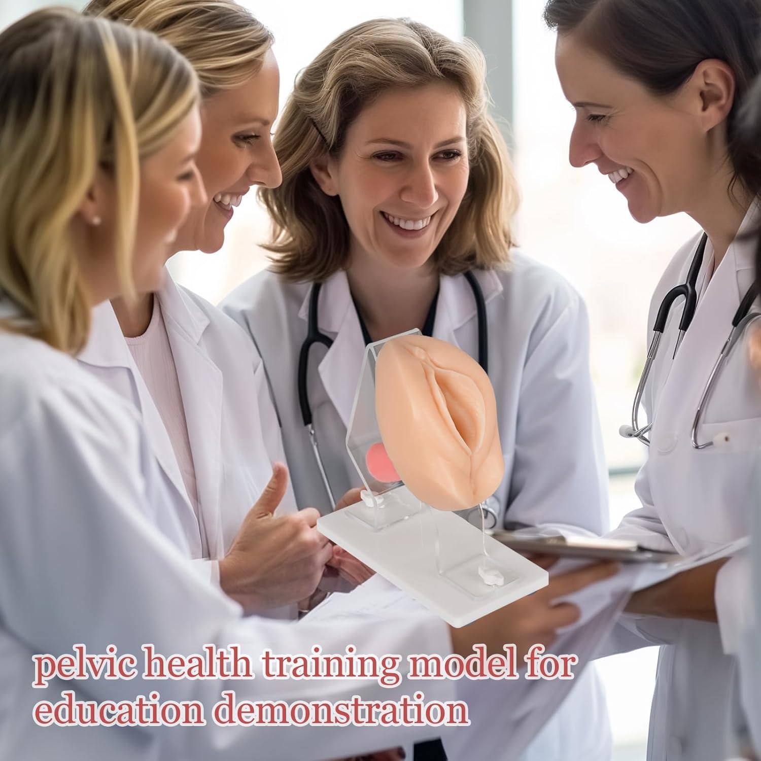 Modelo Anatómico de Salud Pélvica MedEduQuest - Entrenamiento Ginecológico