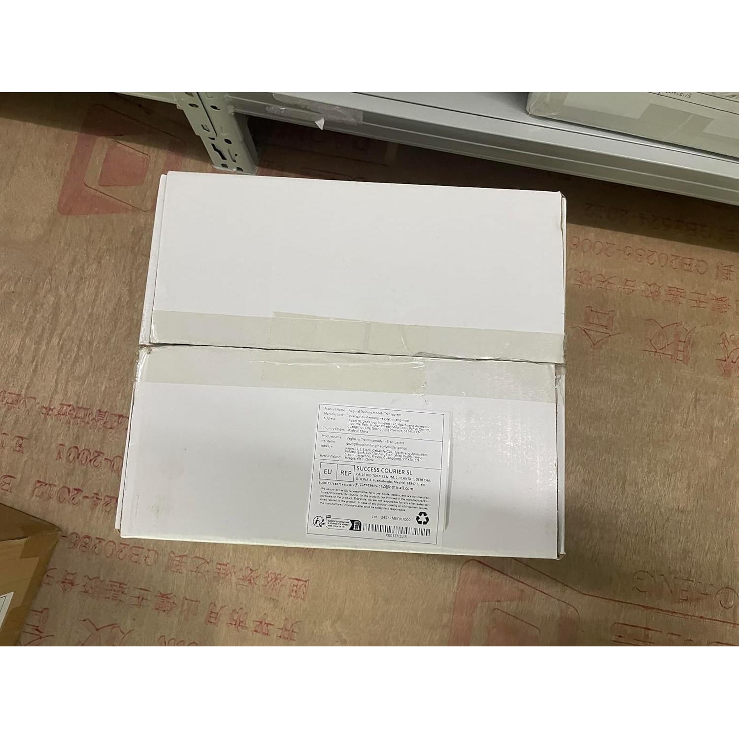 Modelo Anatómico de Salud Pélvica MedEduQuest - Entrenamiento Ginecológico