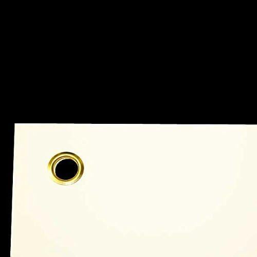 Gráfico Anatómico Sistema Nervioso Autónomo 66x50.8cm