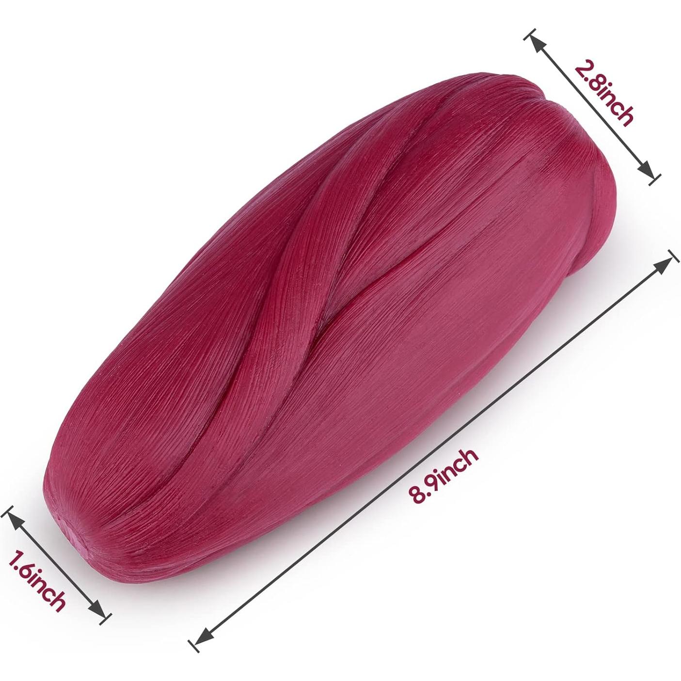 Modelo de Réplica de Músculo Humano 2.27 kg Medarchitect