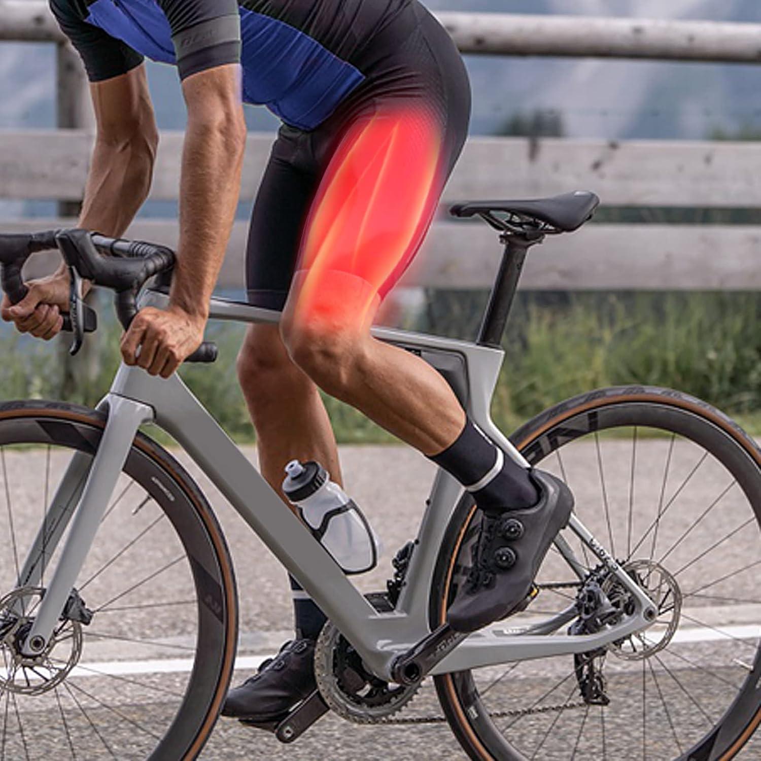 Modelo de Réplica de Músculo Humano 2.27 kg Medarchitect