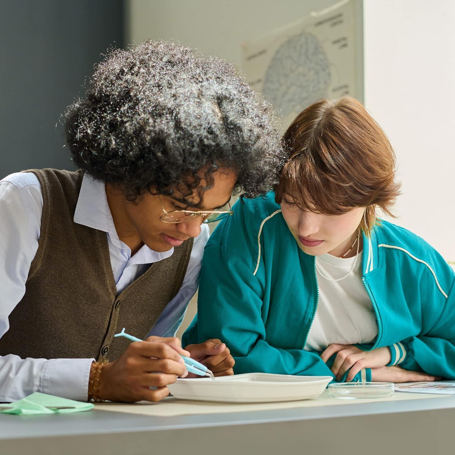 Gráfico Anatómico del Sistema Muscular Laminado 50.8x66cm