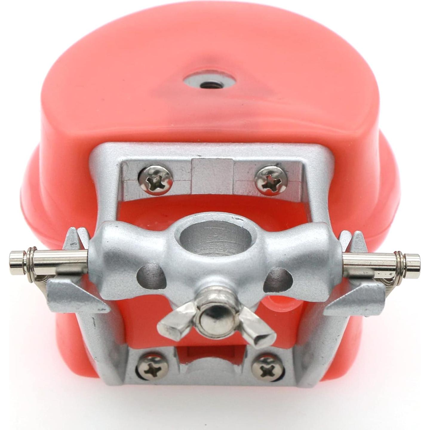 Typodont Dental Septan con 32 Dientes Removibles y Mejilla