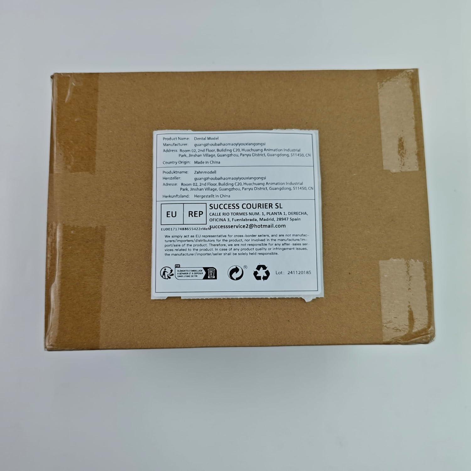 Typodont Dental Ultrassist 32 Dientes Desmontables para Estudiantes