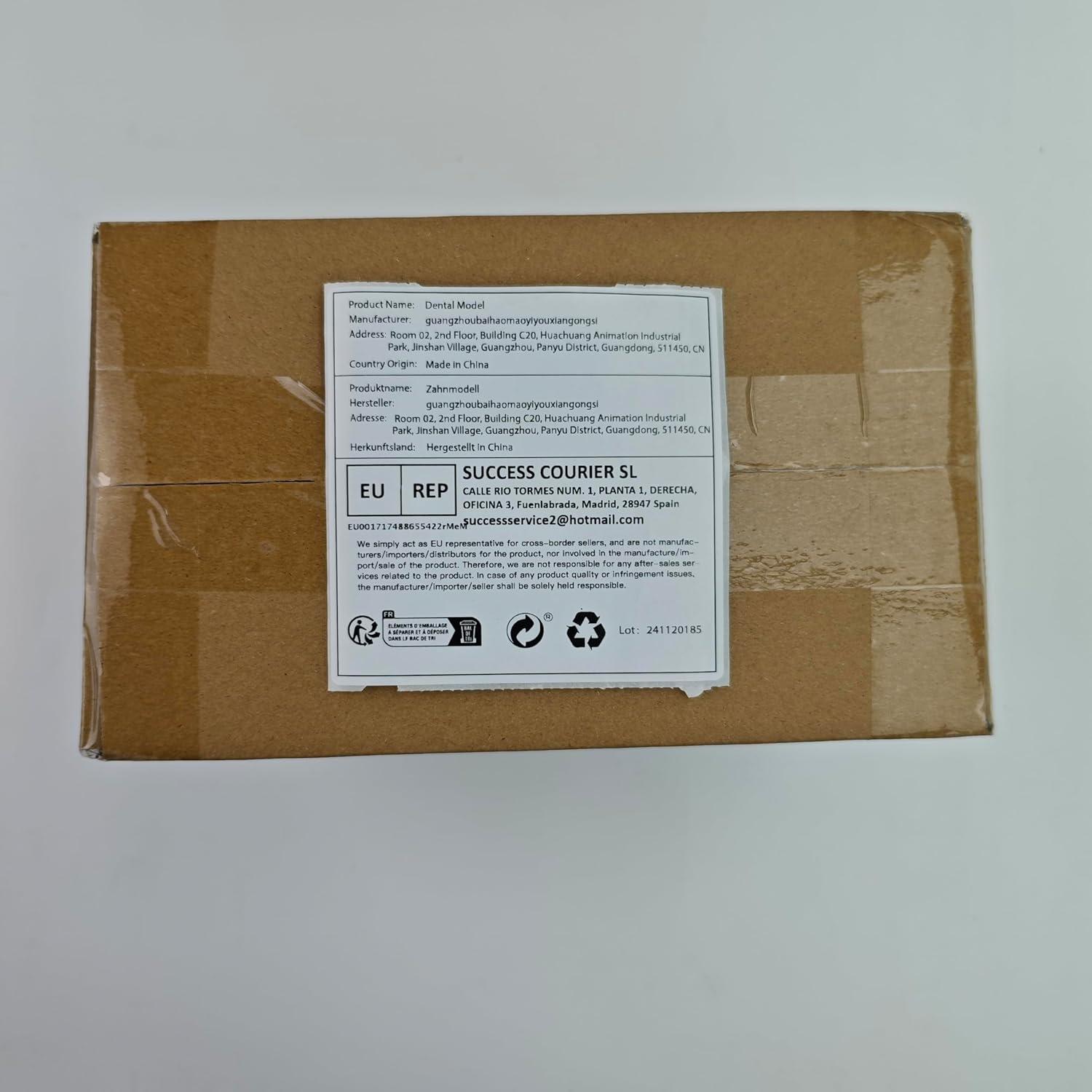 Modelo de Implante Dental Ultrassist 4X con Corona y Puente