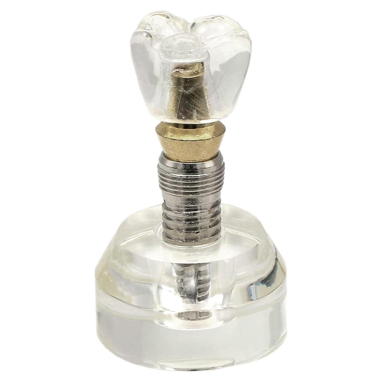 Modelo Dental de Implante XINGXING 2020-01 para Demostración