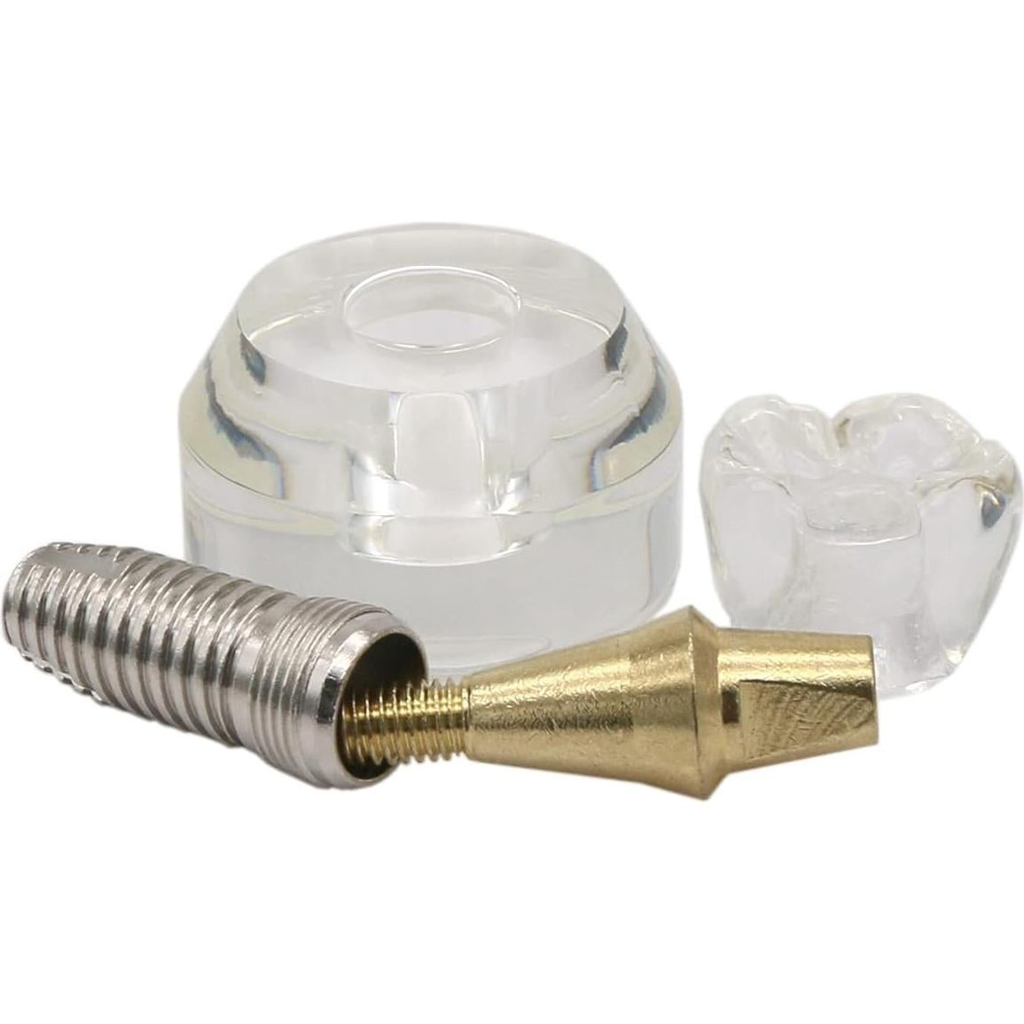 Modelo Dental de Implante XINGXING 2020-01 para Demostración