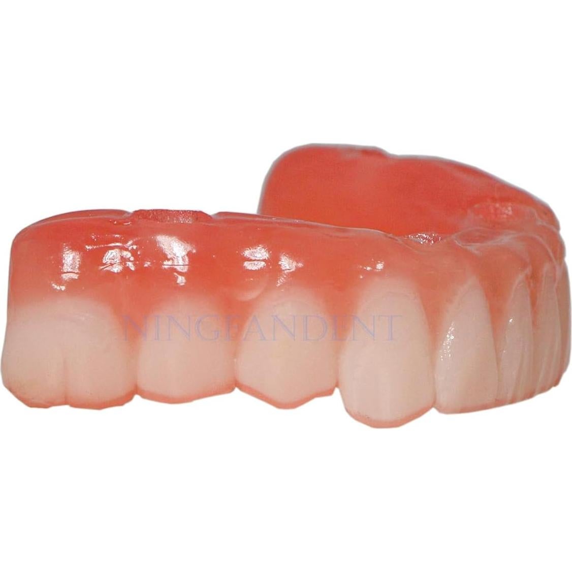 Modelo de Implante Dental Typodont Transparente All-on-4