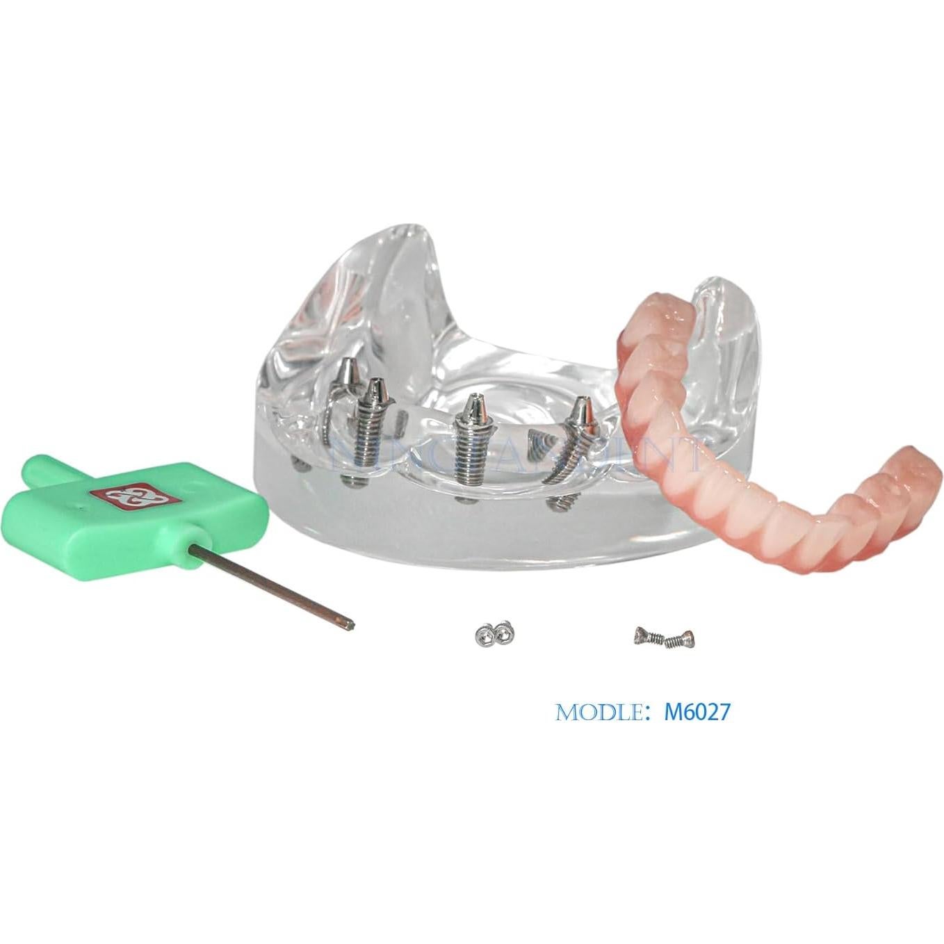 Modelo de Implante Dental Typodont Transparente All-on-4