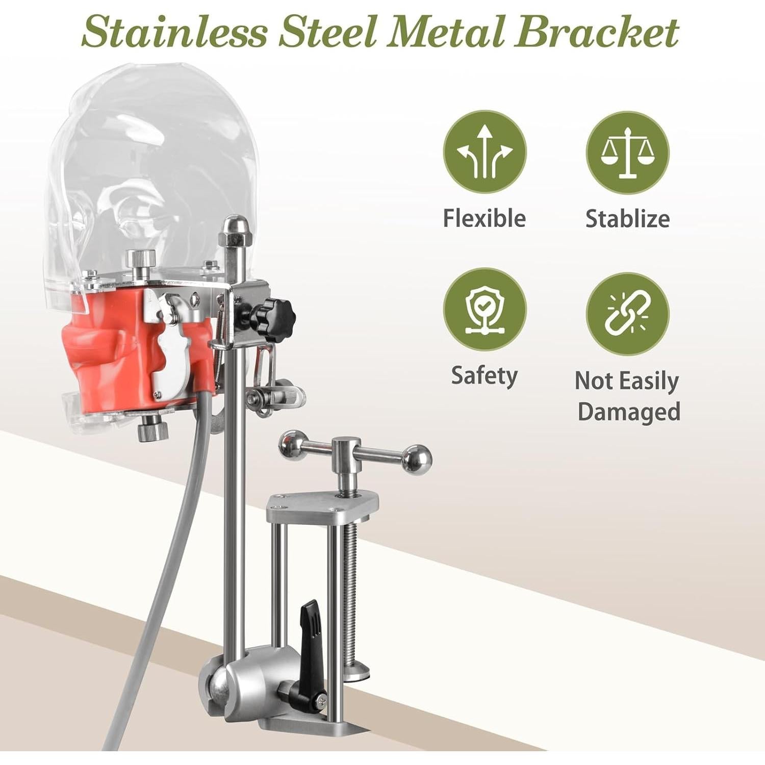 Cabeza de Maniquí Dental Ultrassist Typodont 32 Dientes