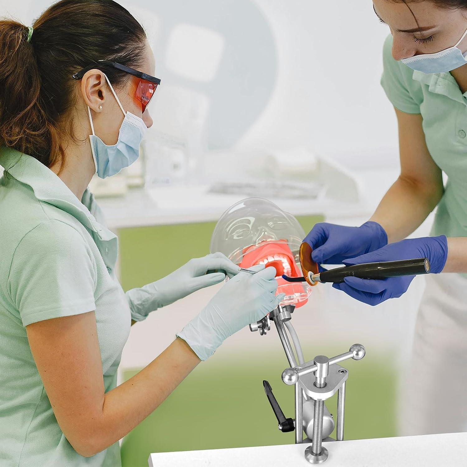 Cabeza de Maniquí Dental Ultrassist Typodont 32 Dientes