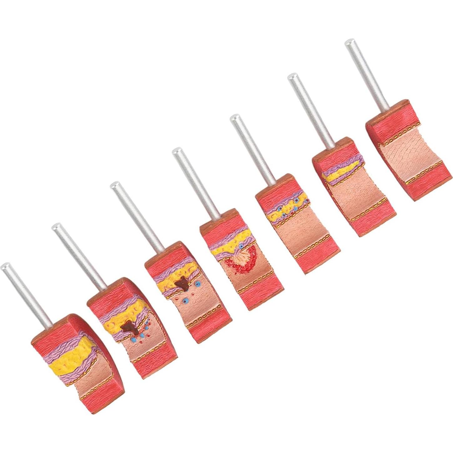 Modelo de Anatomía Arterial 7 Piezas LUCKDANO PVC Educativo