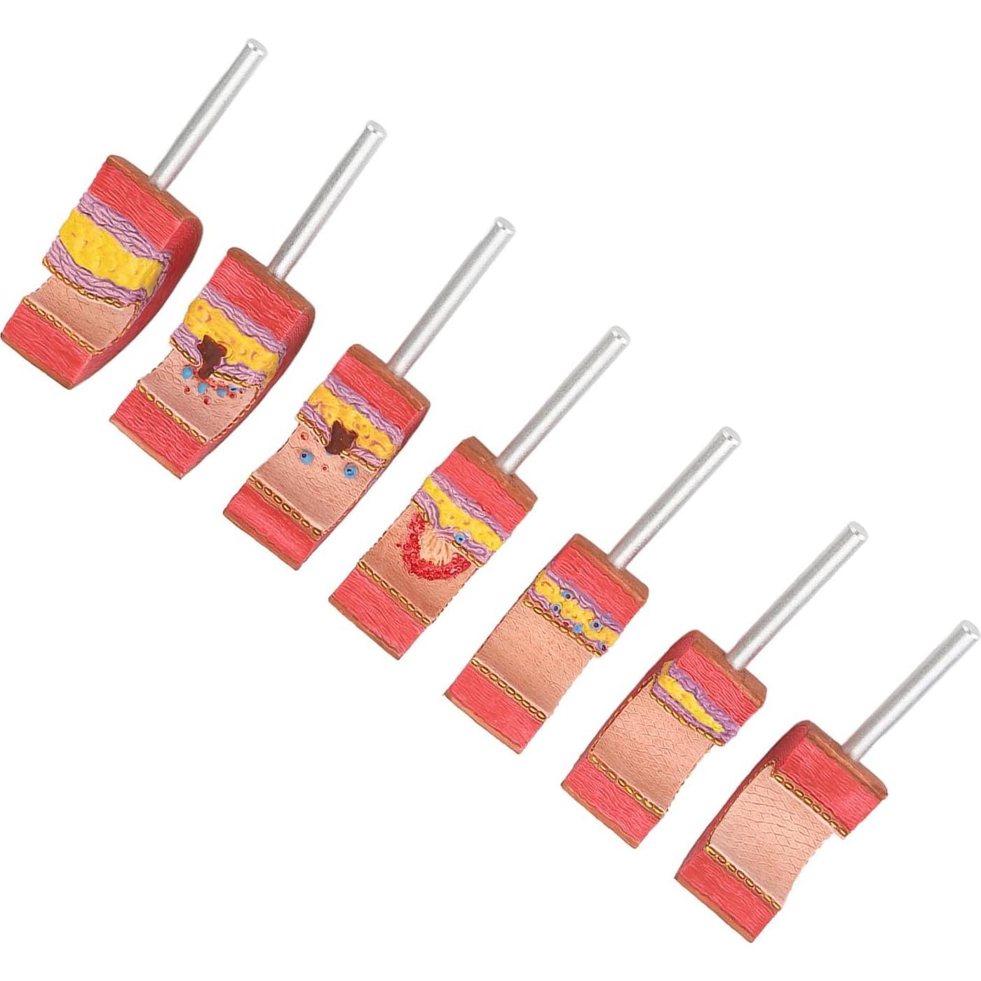 Modelo de Anatomía Arterial 7 Piezas LUCKDANO PVC Educativo