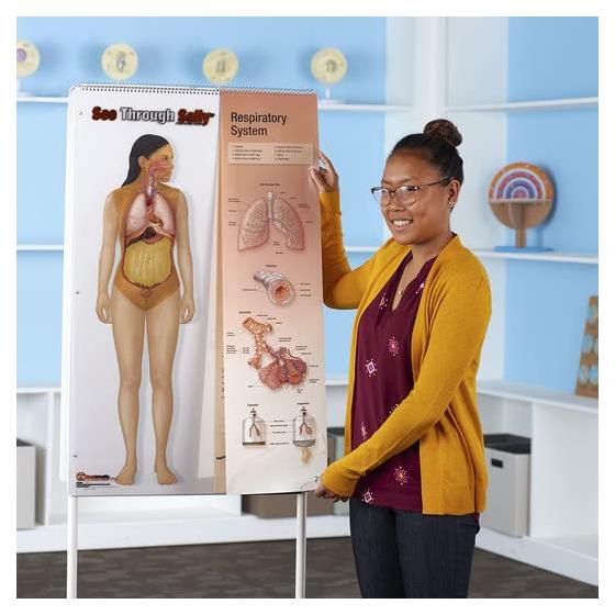 Display Anatomía Humana United Scientific 12 Gráficos 55.88x91.44cm