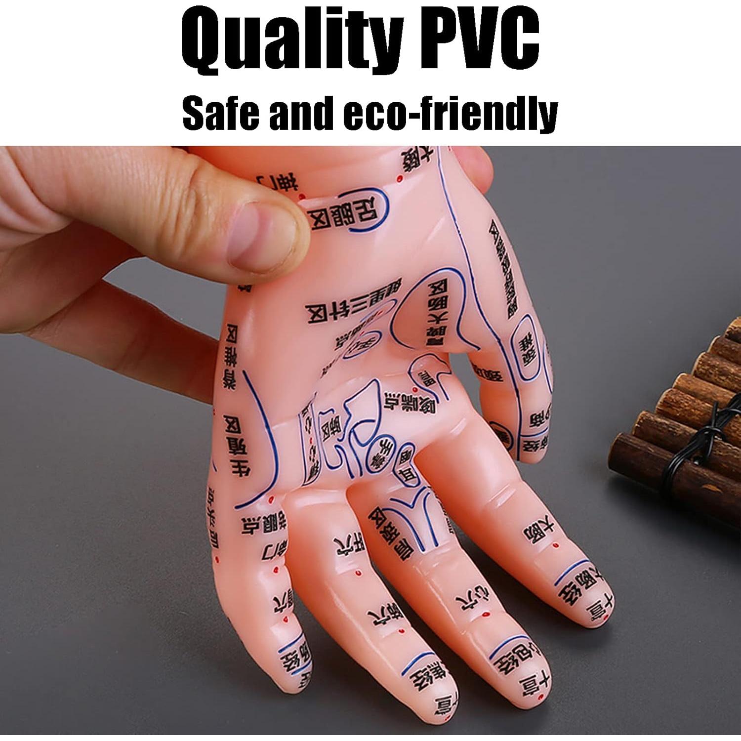 Modelo de Acupuntura de Mano Izquierda Homan PVC Duradero