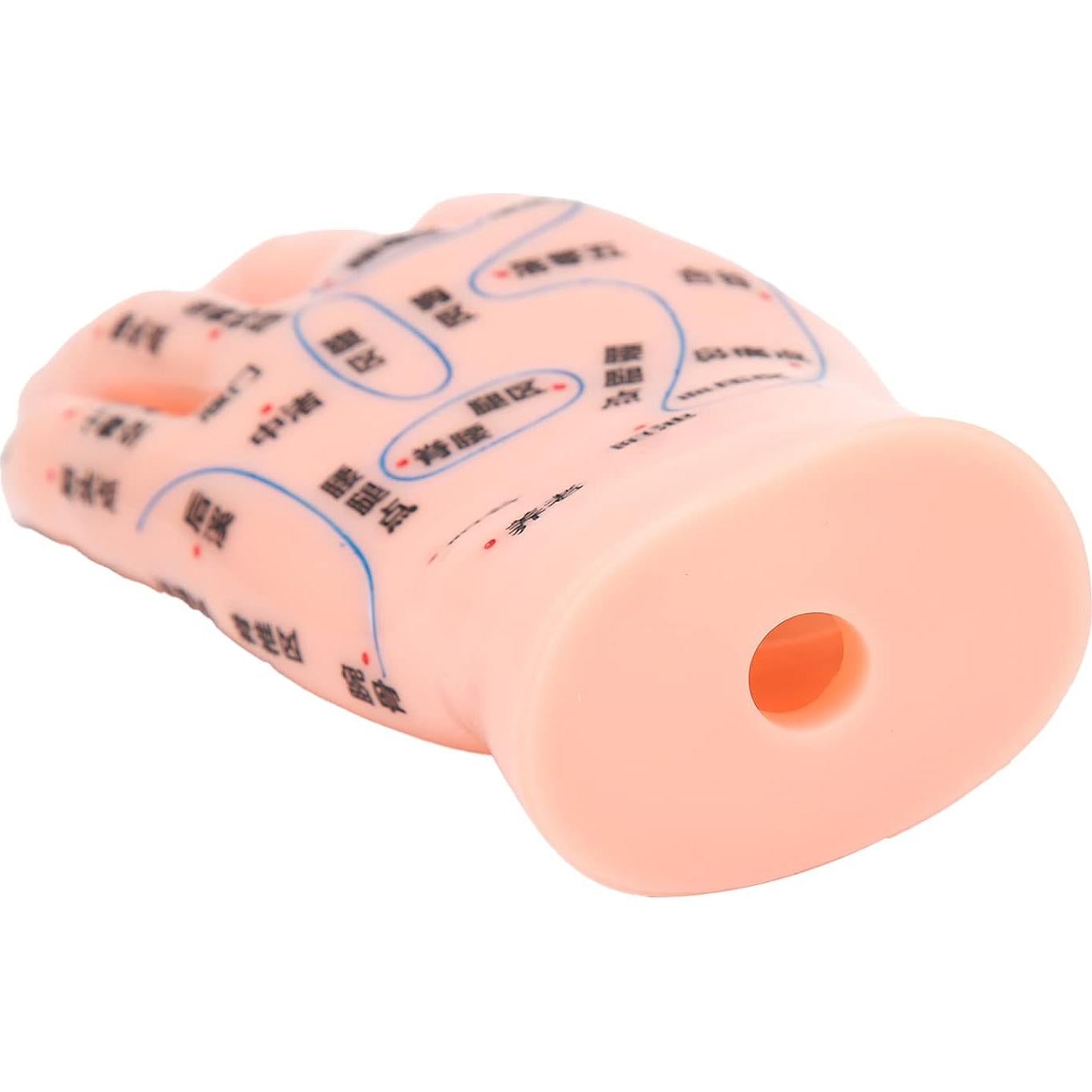 Modelo de Acupuntura de Mano Izquierda Homan PVC Duradero