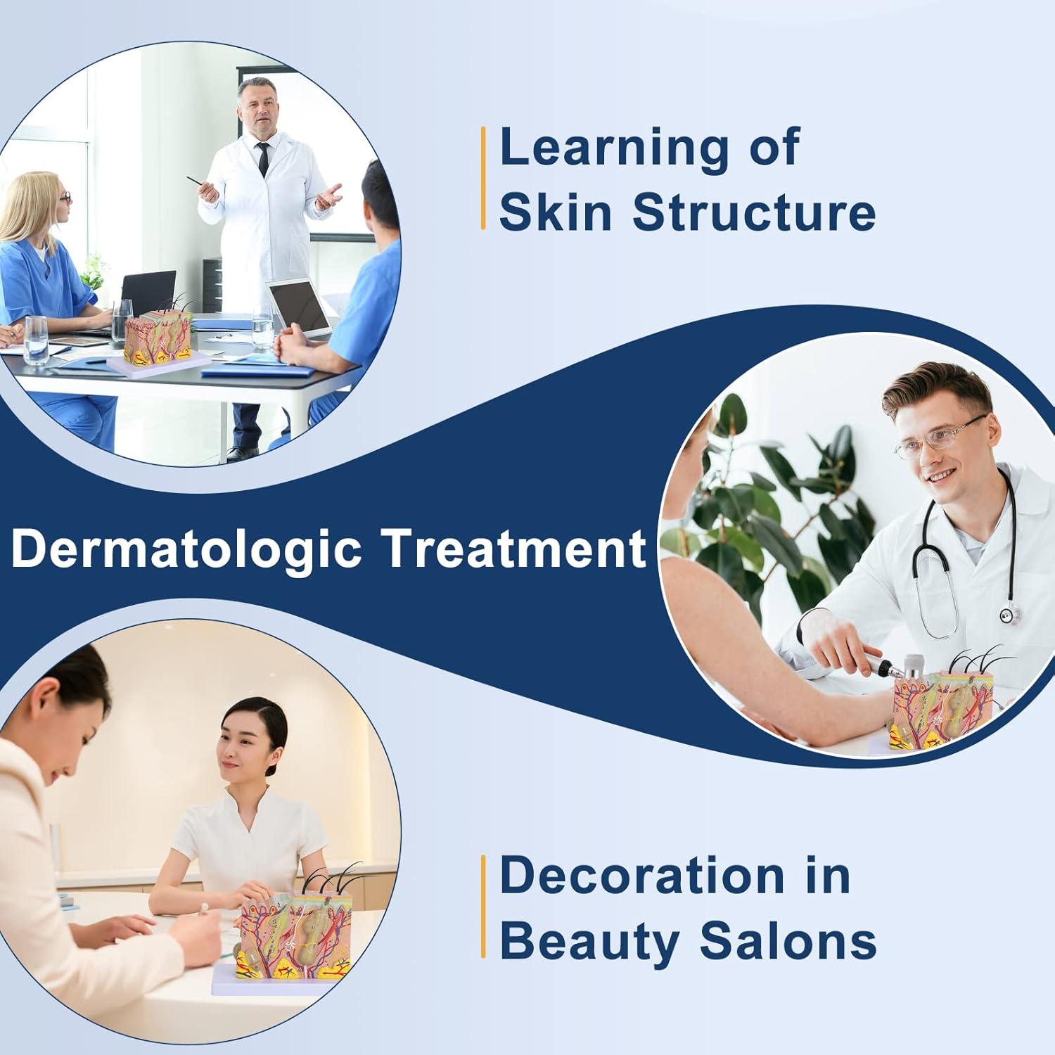 Modelo de Anatomía de Piel Healthible 35X PVC 20x12x12 cm