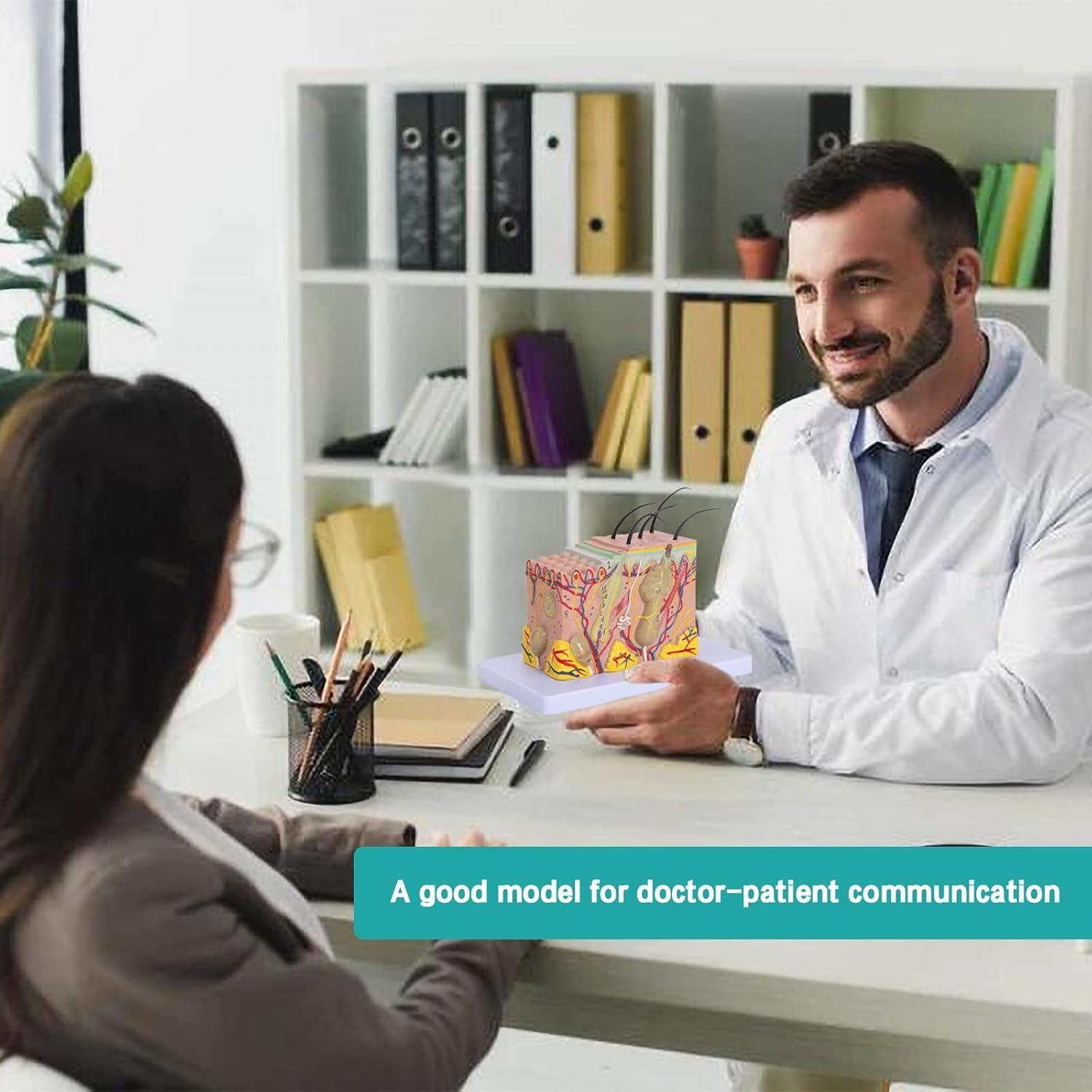 Modelo Anatómico de Piel LVCHEN 35X para Educación Médica