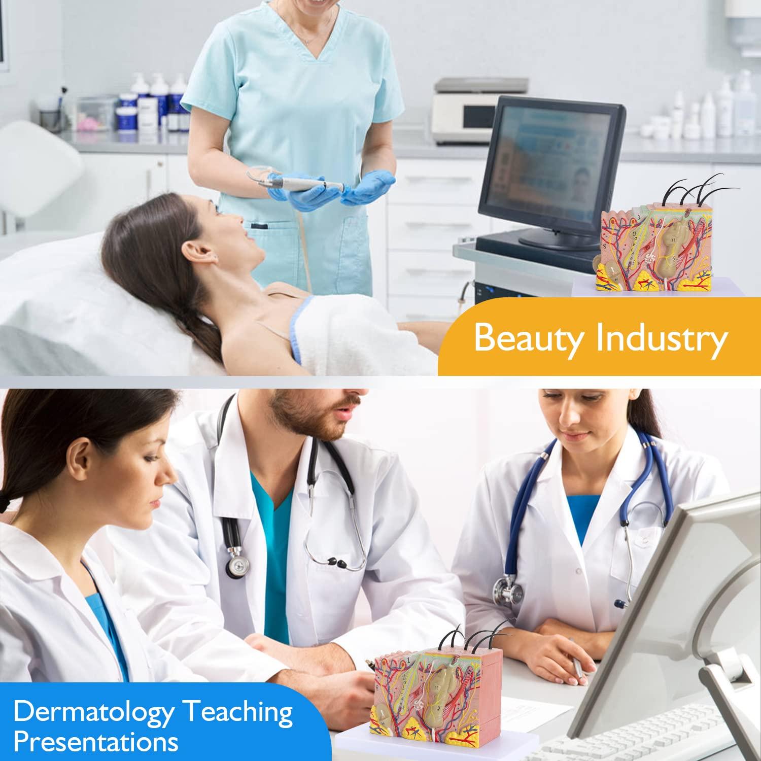 Modelo Anatómico de Piel Humana 35x Faruijie 20x12x12 cm