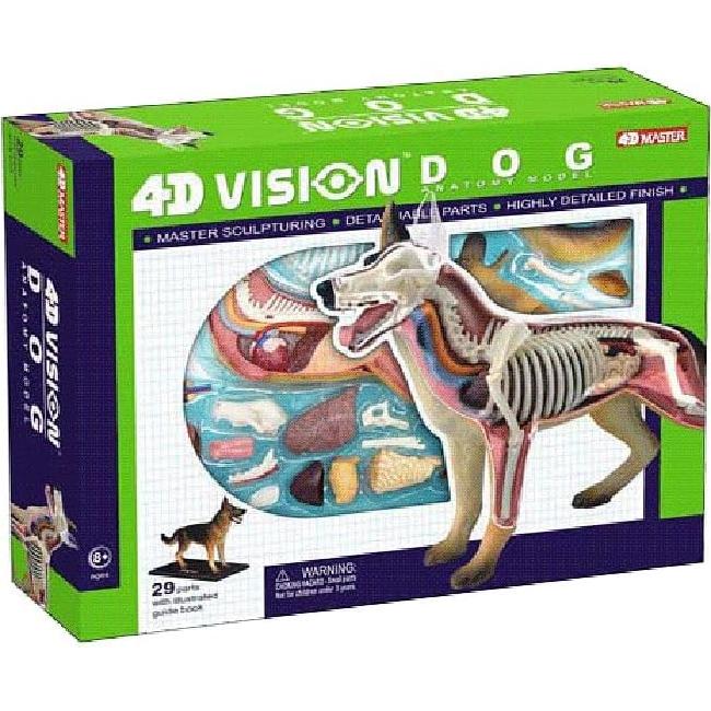 Modelo de Anatomía Canina 4D Vision Tedco 16.5 cm 28 Piezas