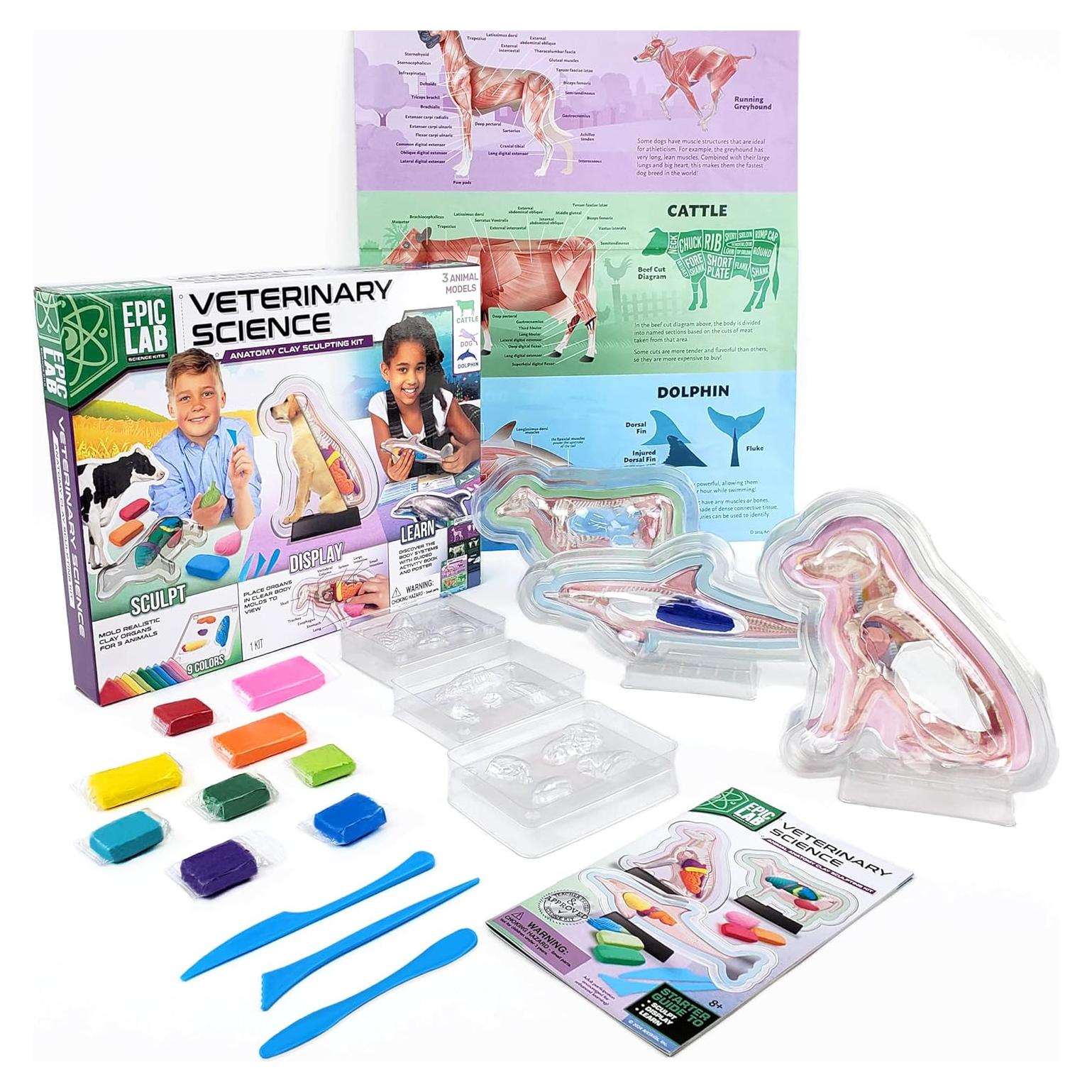 Kit de Ciencia Veterinaria ArtSkills para Niños 8+ Anatomía Animal