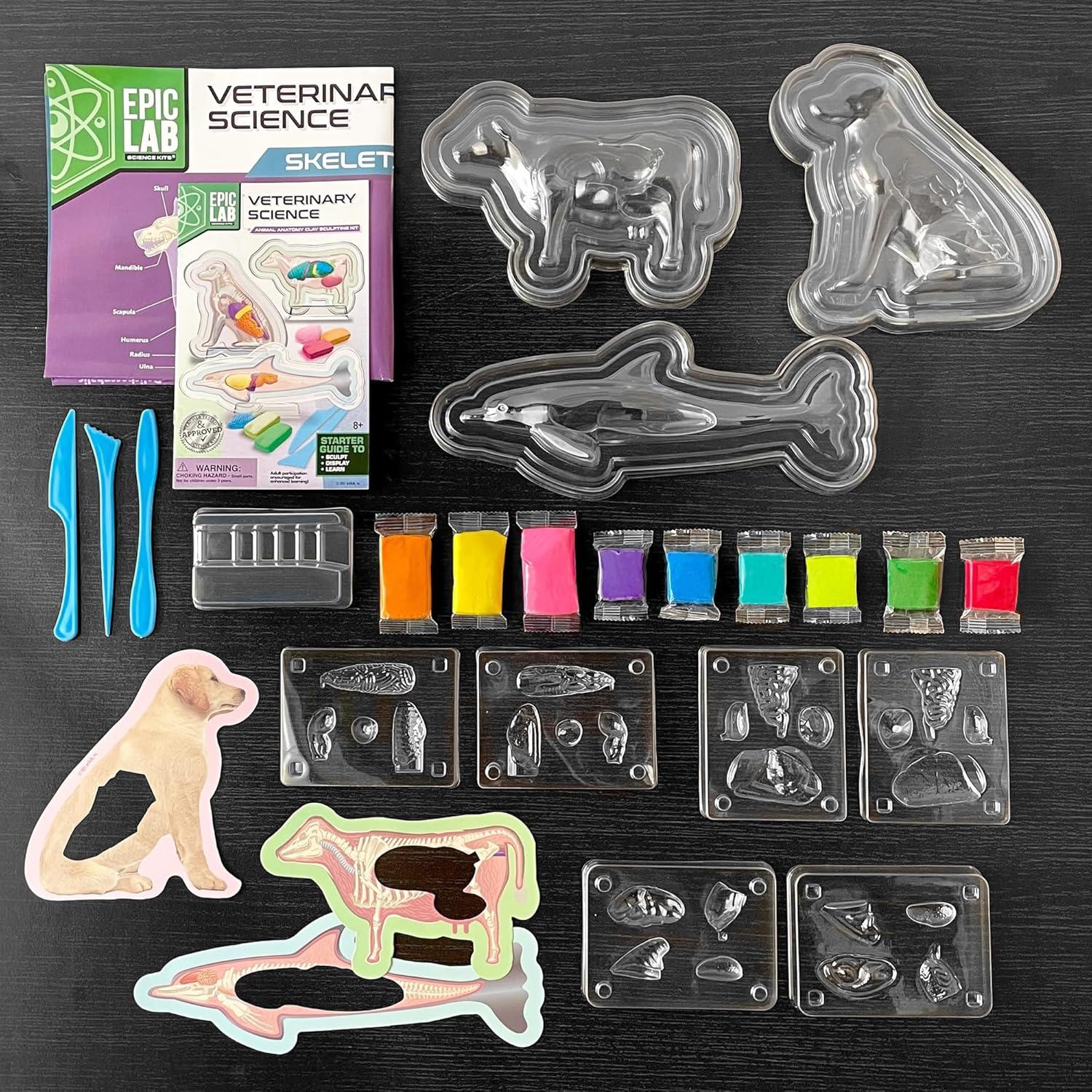 Kit de Ciencia Veterinaria ArtSkills para Niños 8+ Anatomía Animal