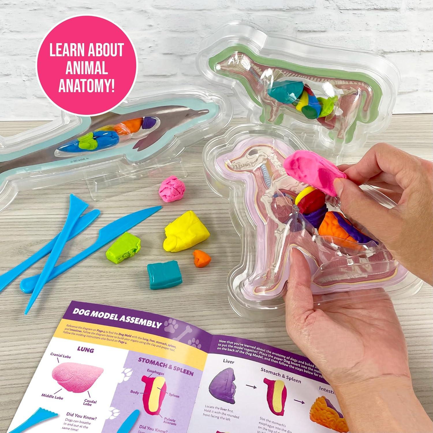 Kit de Ciencia Veterinaria ArtSkills para Niños 8+ Anatomía Animal