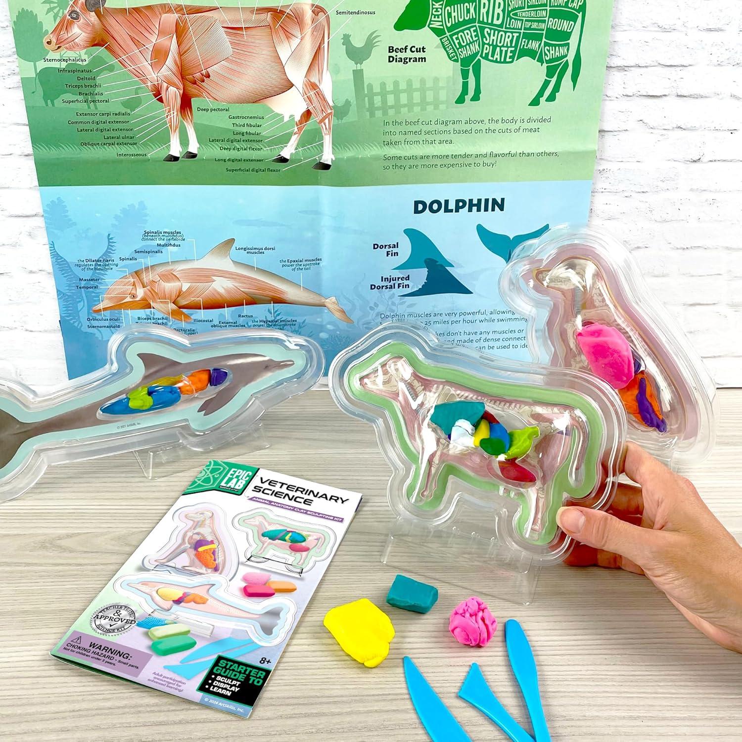 Kit de Ciencia Veterinaria ArtSkills para Niños 8+ Anatomía Animal