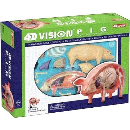 Modelo de Anatomía de Cerdo 4D TEDCO 26102 - Juguete Educativo