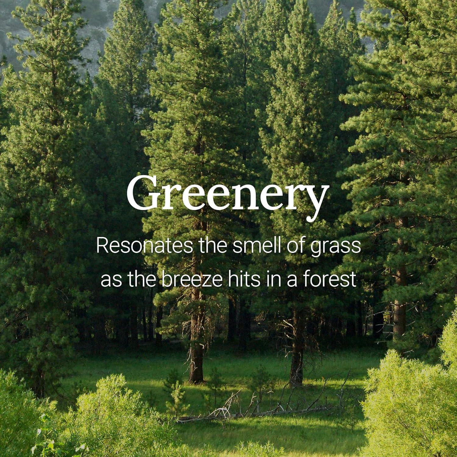 Bálsamo Labial Hidratante Frudia Verde 10.4 ml - K-Beauty