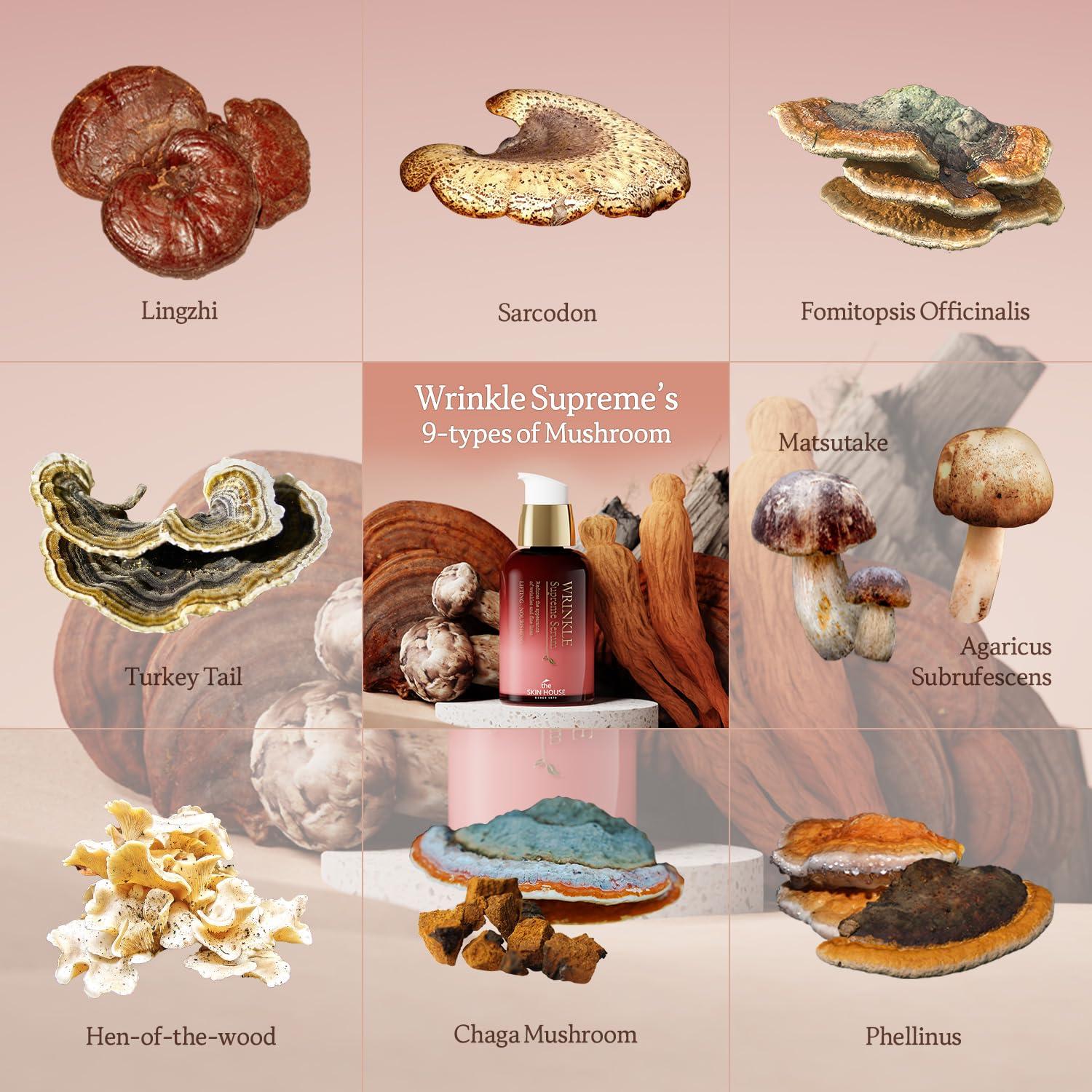 Suero Supremo para Arrugas SKIN HOUSE 20ml Ginseng Rojo