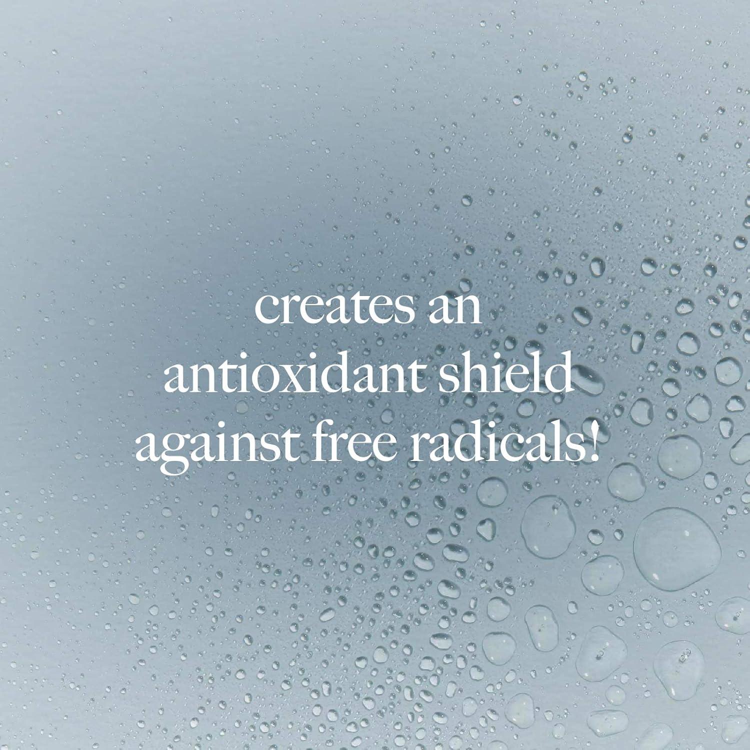 Toner Spray Hidratante Antioxidante Dermalogica 29.57 ml