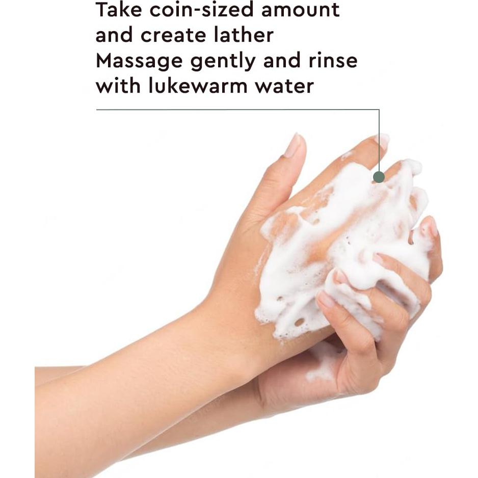 Gel Limpiador Facial THE FACE SHOP Árbol de Té 147.87 ml