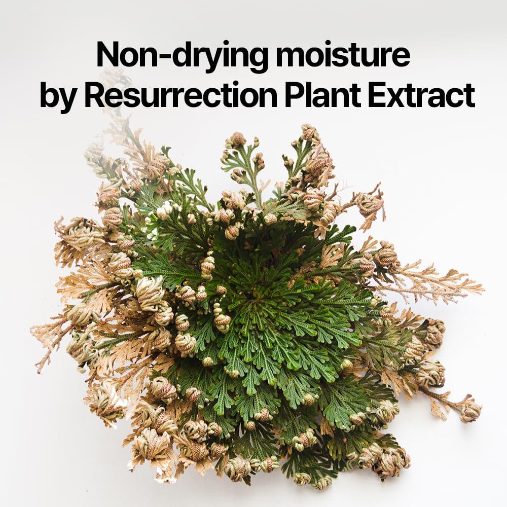 Loción Corporal Hidratante Pyunkang Yul 350ml Aceites Esenciales