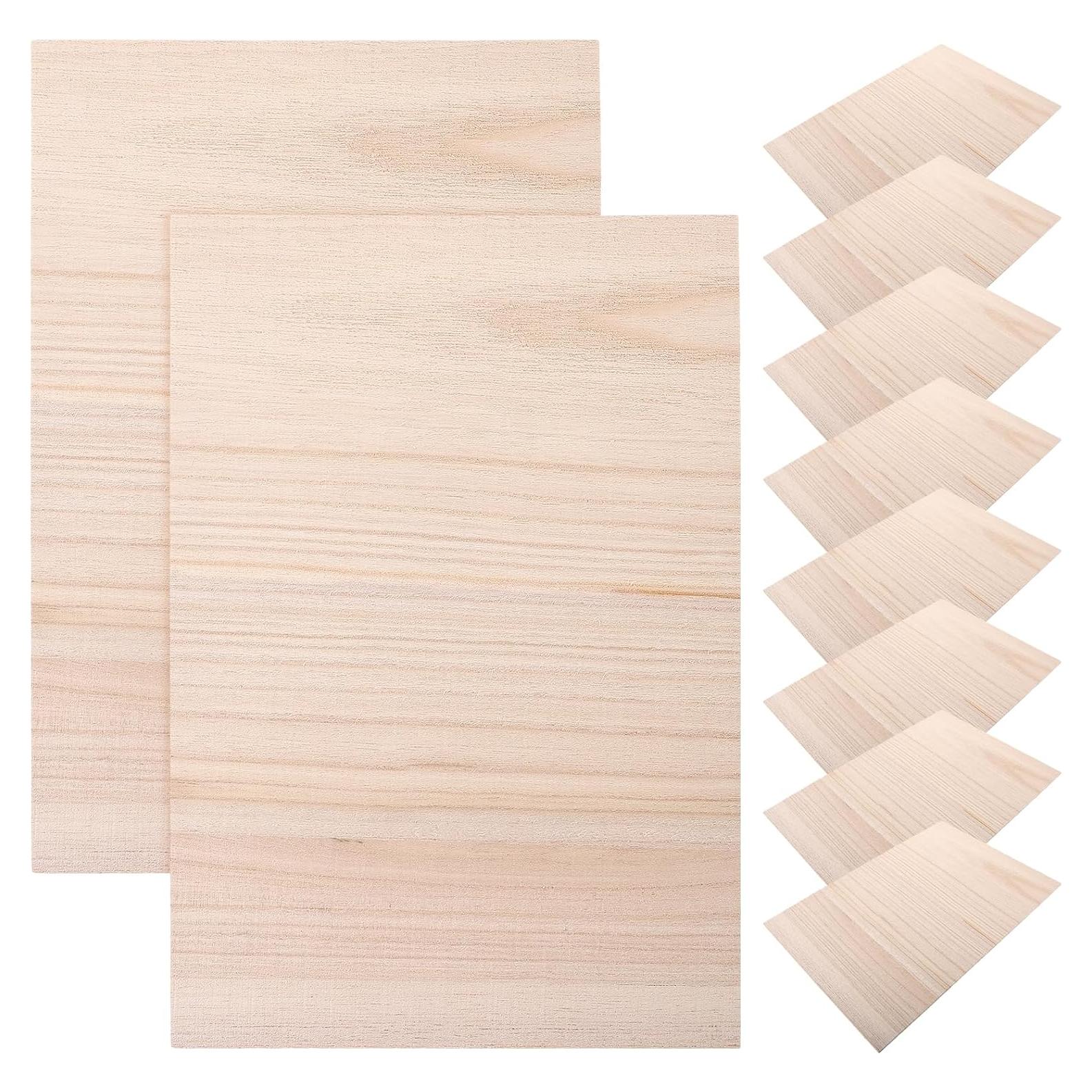 Tablas de Rompimiento de Madera Homoyoyo 10 Pcs para Taekwondo